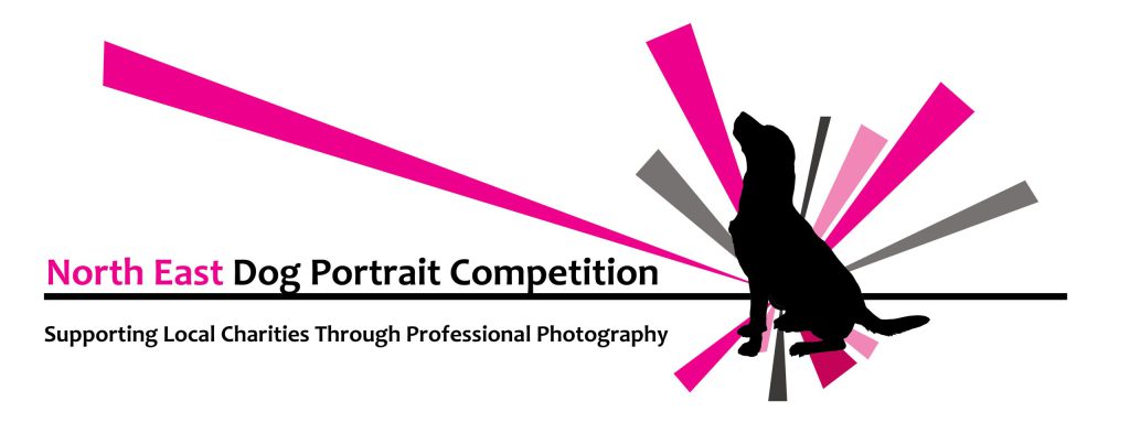 North East Pet Portrait Competition, Village Photography Newcastle