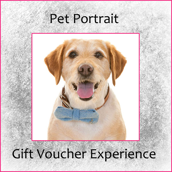 Pet Portrait Gift Voucher, Village Photography, Newcastle