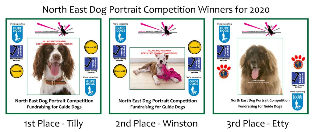 North East Pet Portrit Competiton Winners, Village Photography, Newcastle