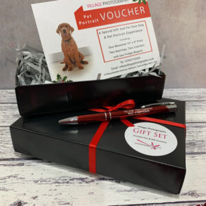 Christmas Gift Box Package - Dog
