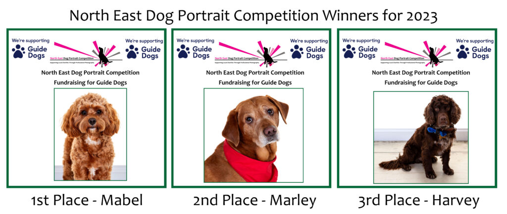 North East Childrens Portrait Winners, Village Photography, Hebburn