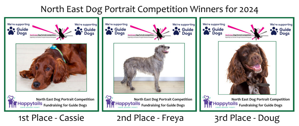 North East Dog Portrait Competition, Village Photography Hebburn