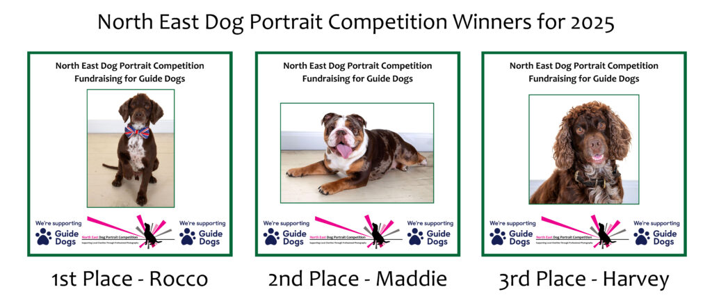 North East Dog Portrait Competition, Village Photography Hebburn